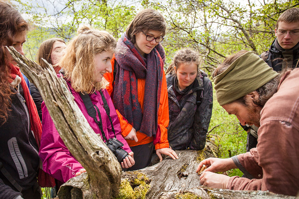Gruppe von Jugendlichen betrachtet interessiert einen Baumstamm im Wald.