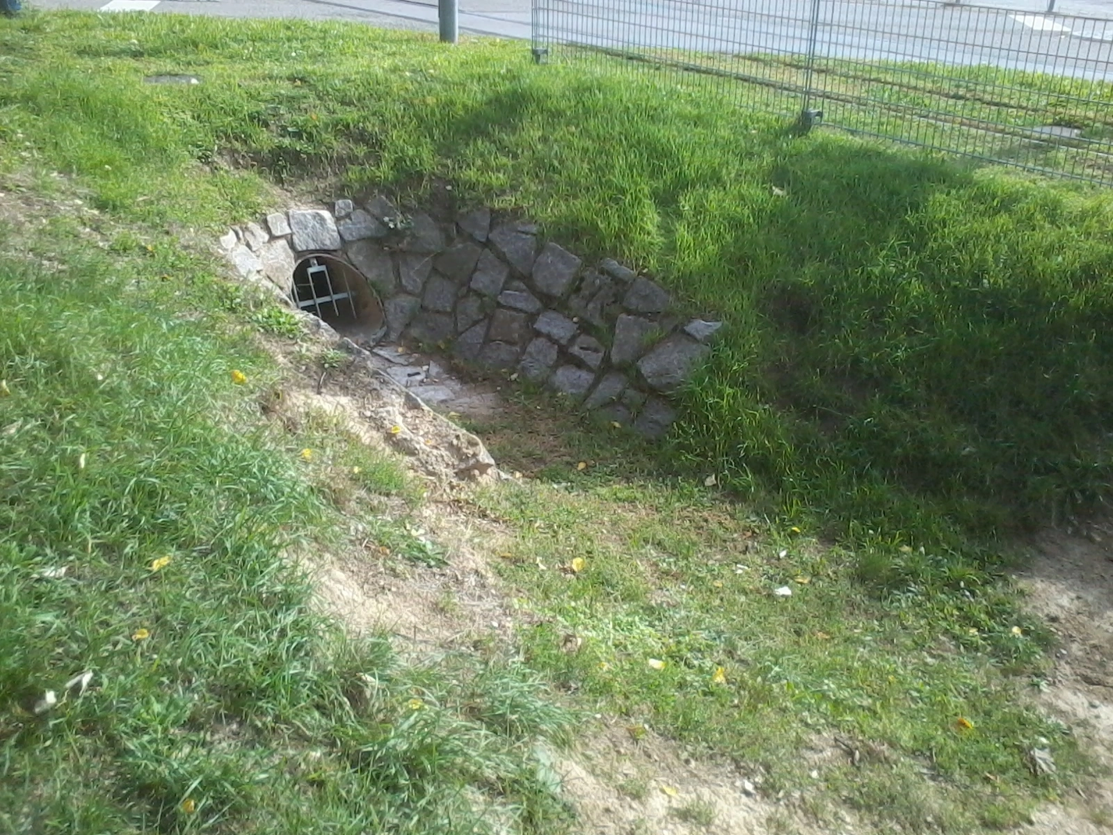 Das Foto zeigt eine Versickerungsmulde. Im Hintergrund ist ein Zaun zu sehen.