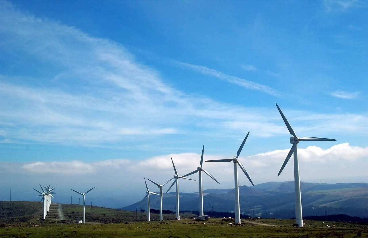 Das Foto zeigt eine grasbewachsene Landschaft mit Bergen im Hintergrund. Es sind mehrere Windräder zu sehen.