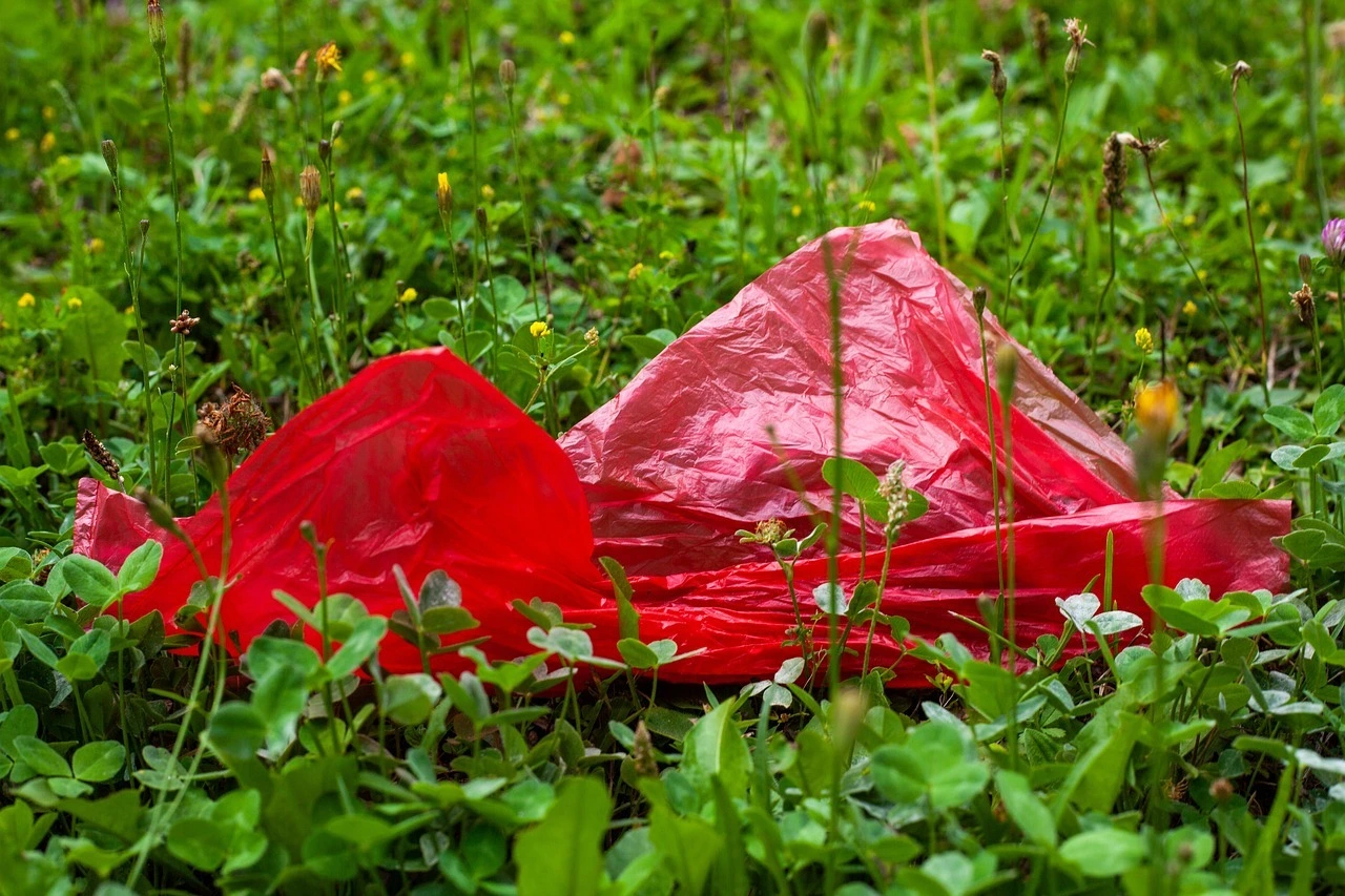 Das Bild zeigt eine rote Plastiktüte auf einer grünen Wiese liegend.