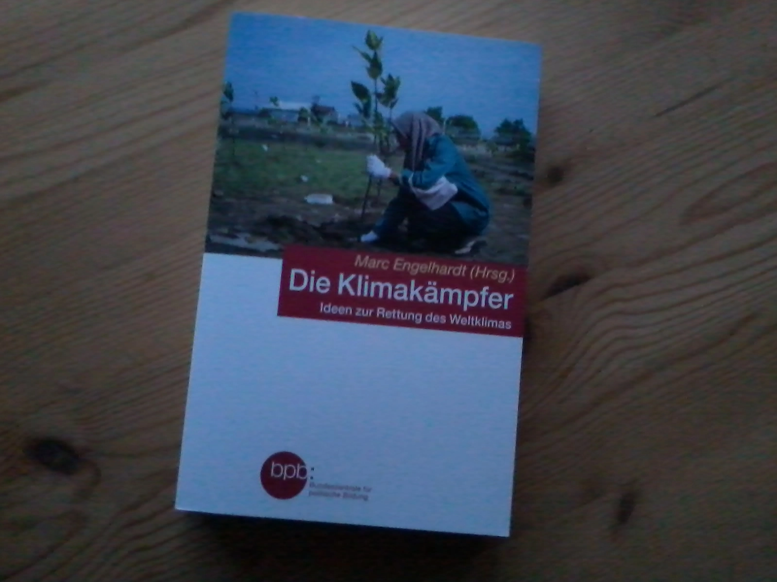 Das Foto zeigt das Buch "Die Klimakämpfer". Es liegt auf einem Holztisch.
