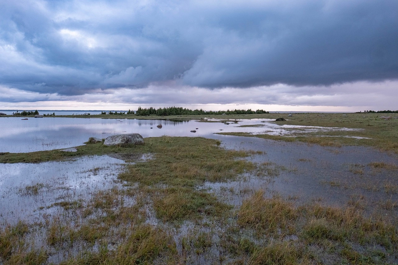 Das Foto zeigt eine Moorlandschaft. Im Vordergrund ist ein Moorsee, dazwischen wachsen moortypische Gräser und Moose.