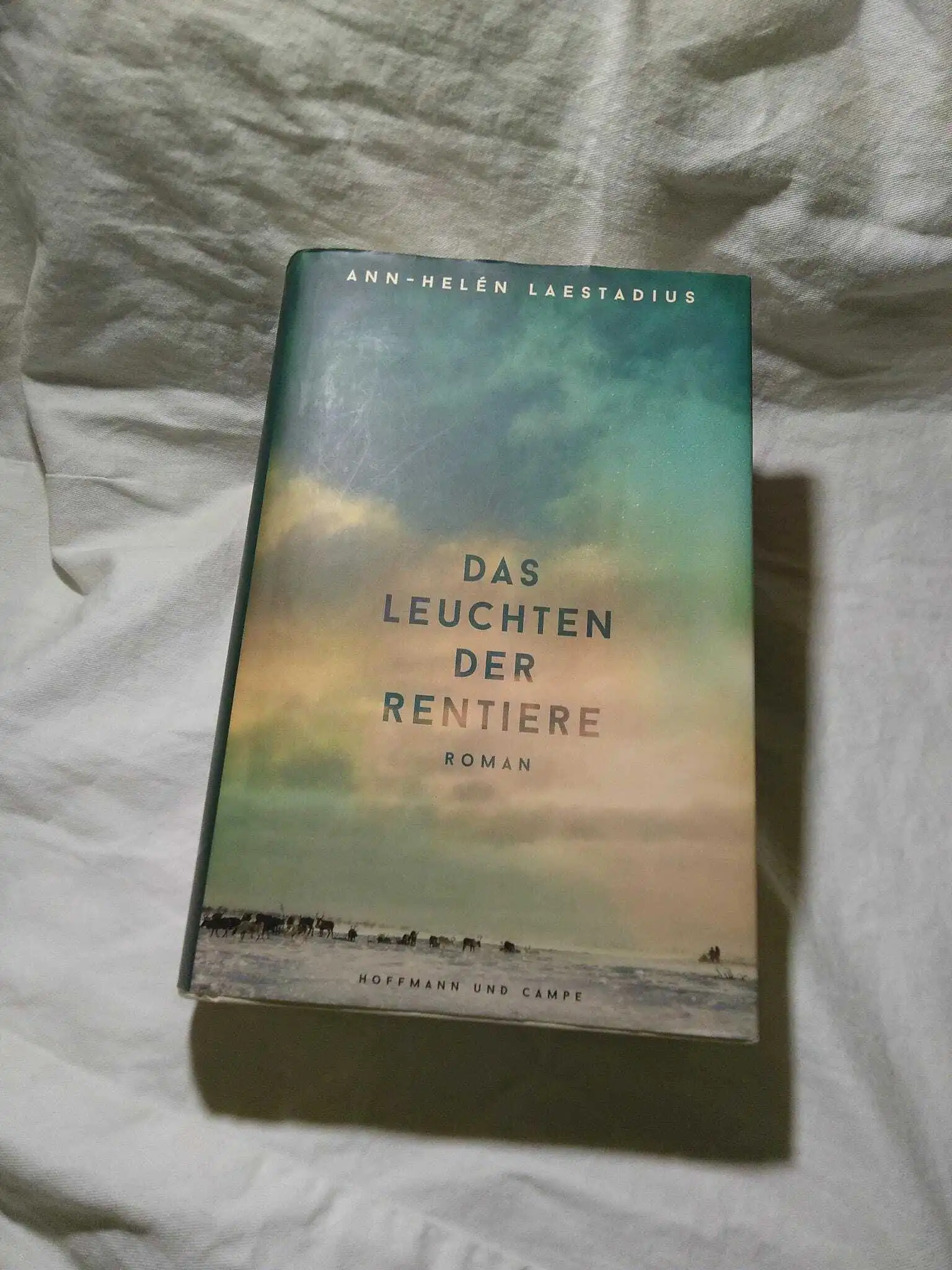 Das Bild zeigt das Buchcover in Blautönen auf weißem Untergrund.