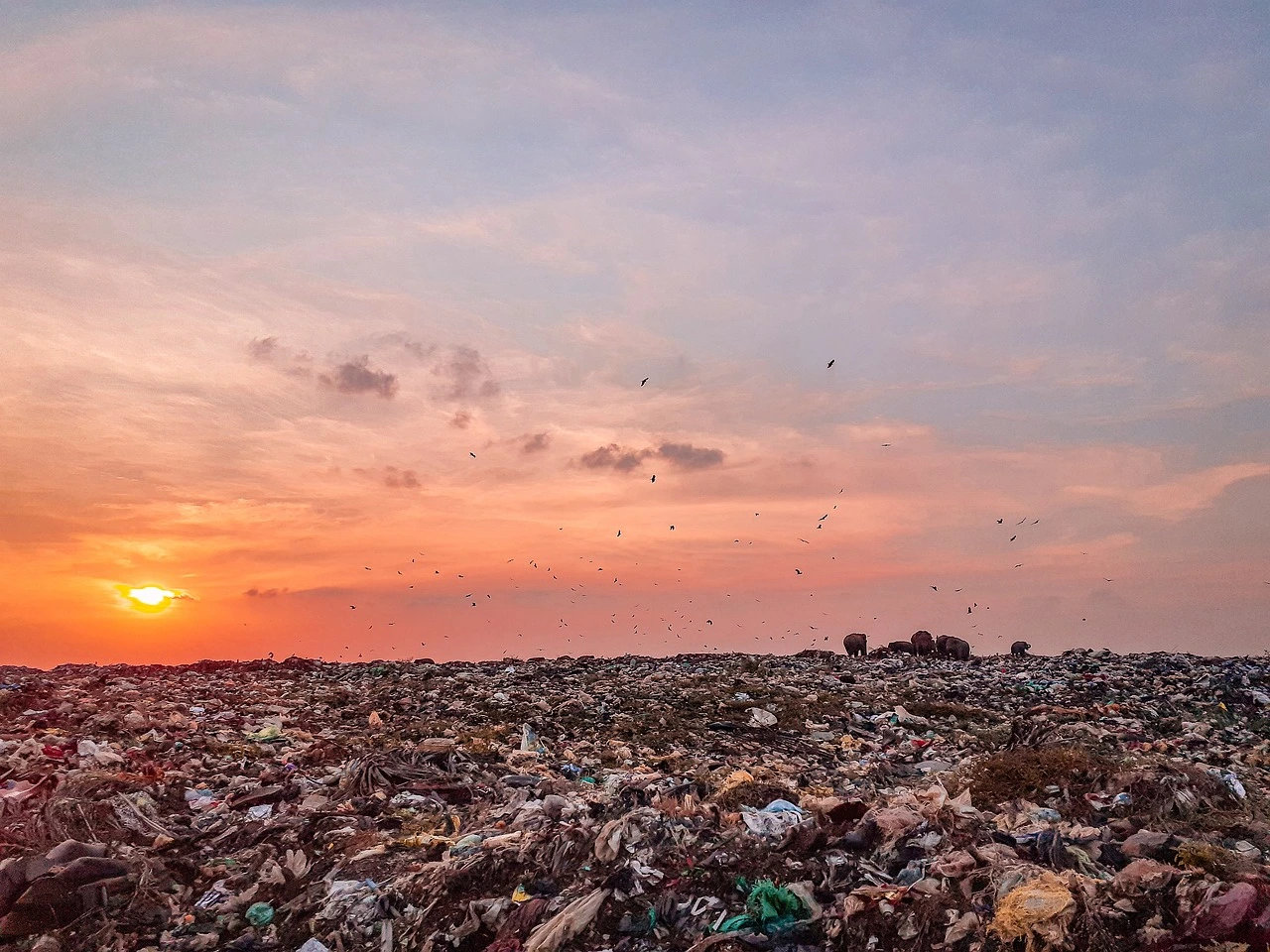 Das Foto zeigt eine Mülldeponie, im Hintergrund Abendrot