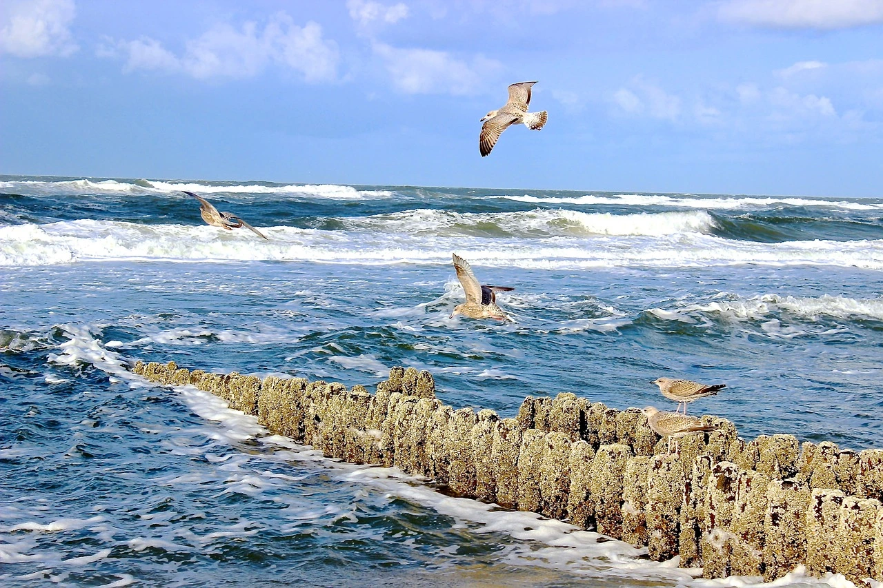 Blick auf die Nordsee, mit Brandung und Lahnungen