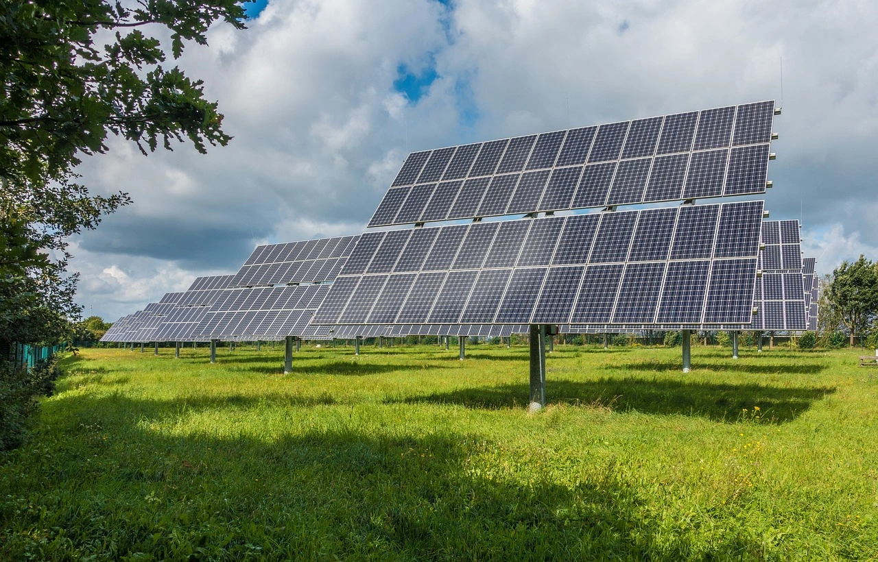 eine Photovoltaik-Anlage auf einer Wiese, im Vordergrund links einige Büsche