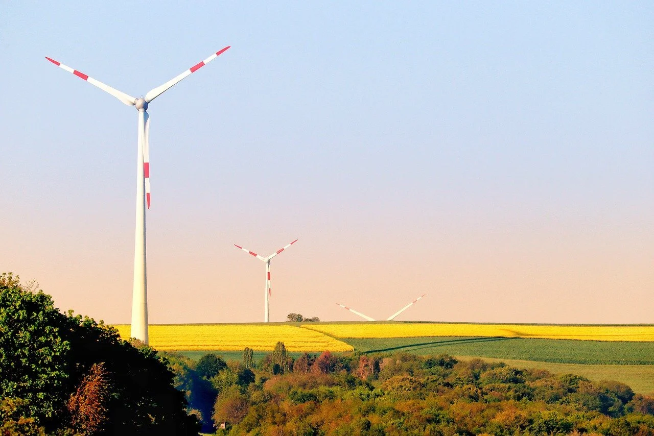 Das Foto zeigt ein gelbes Rapsfeld. Darauf stehen zwei Windkraftanlagen.