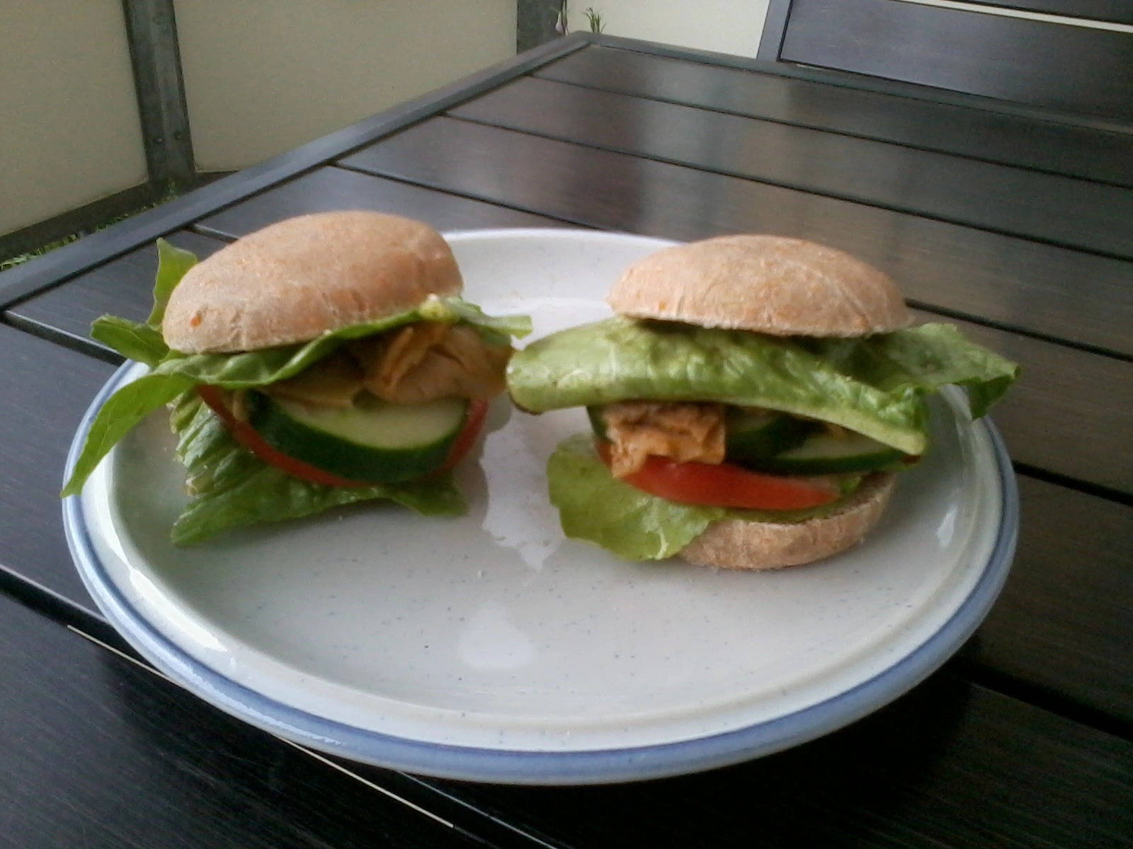 Das Foto zeigt einen Teller mit zwei belegten Burgerbrötchen.