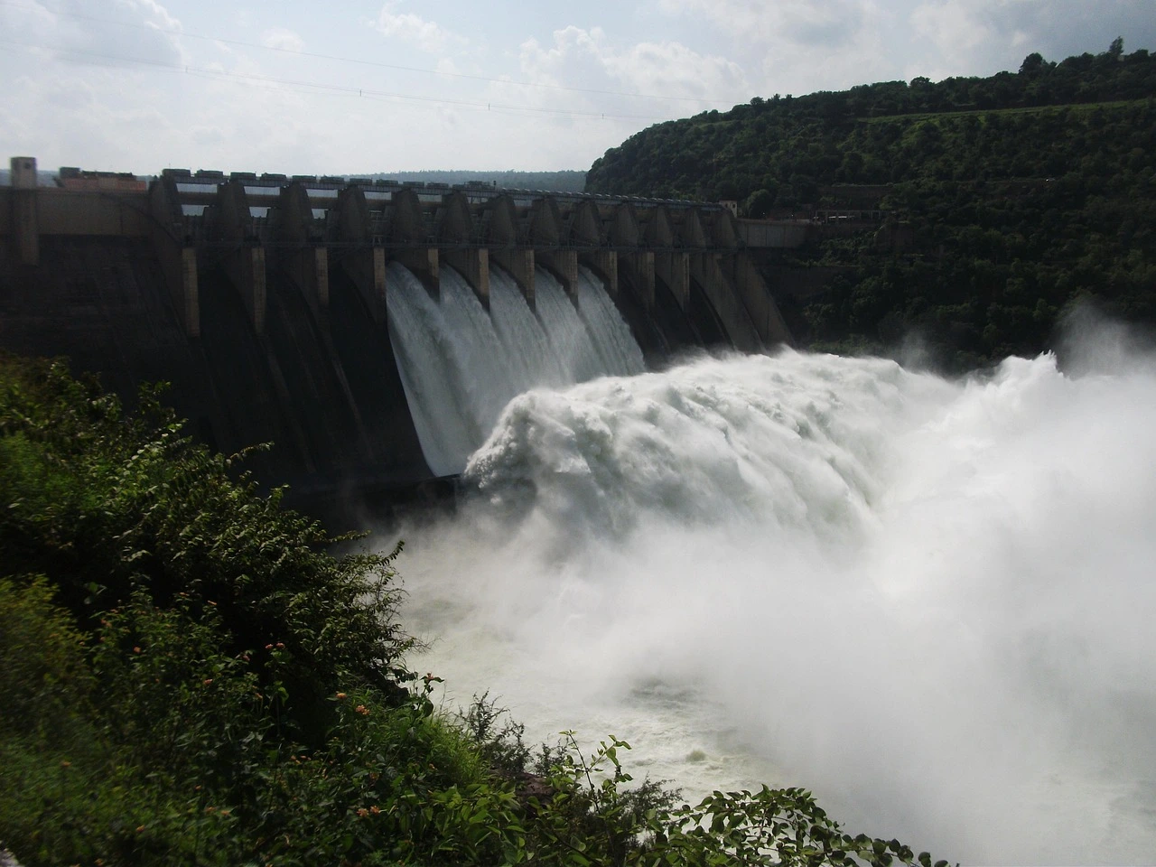 Eine große Staumauer in einem Fluss, im Vordergrund Nadelbäume