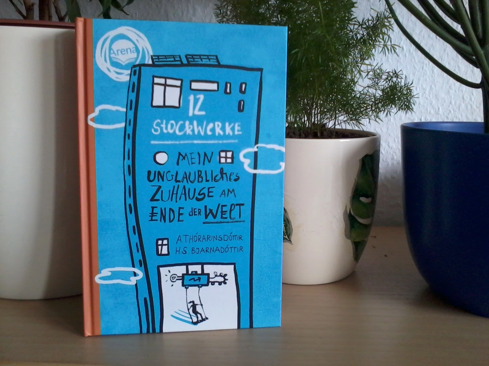 Das Foto zeigt das Buch "12 Stockwerke" vor mehreren Blumentöpfen.