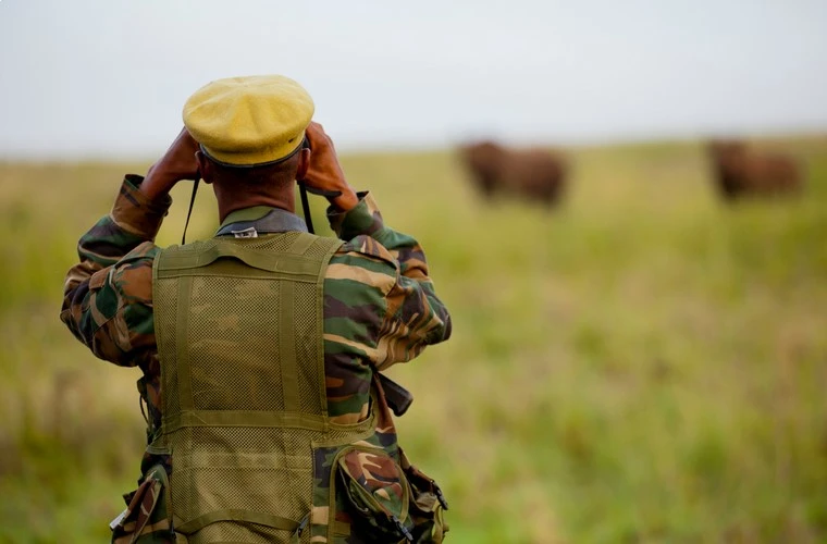 Ranger beobachtet Wildtiere mit Fernglas