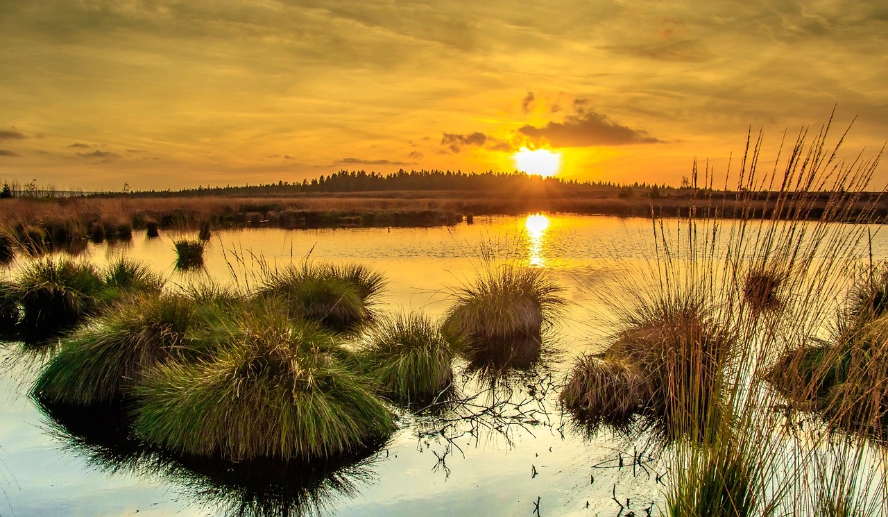 Das Foto zeigt einen Sonnenuntergang hinter einem gut durchnässten Moor.