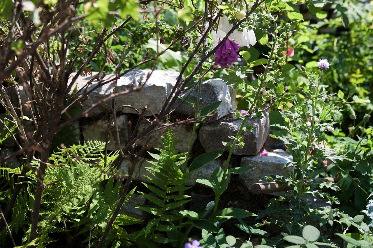 Das Foto zeigt einen Teil einer Trockenmauer mit verschiedenen Blumen und Wiese.