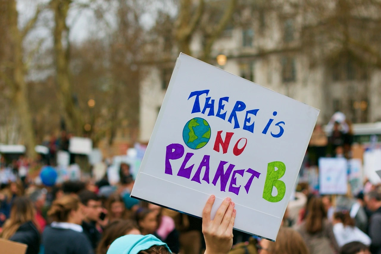 Das Foto zeigt eine Demonstration. Im Vordergrund ist ein Plakat mit der Aufschrift "There is no Planet B" zu sehen.