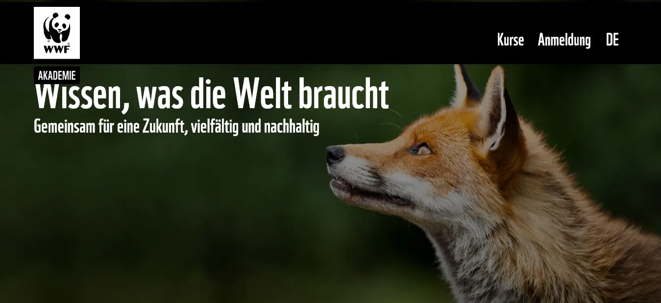 Das Foto zeigt einen Screenshot der WWF-Akadamie. Zu sehen ist die Startseite.