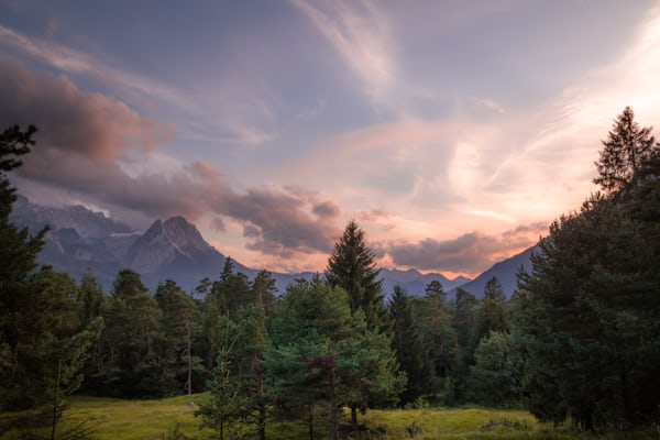 Garmisch-Patenkirchen, Wald