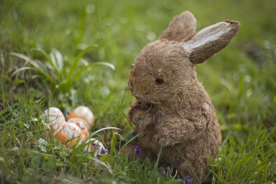 Ein gebasteltes Kaninchen sitzt vor einigen Orange-Weiß gefärbten Ostereiern. Darum herum blühen kleine blaue Blumen im Rasen. 
