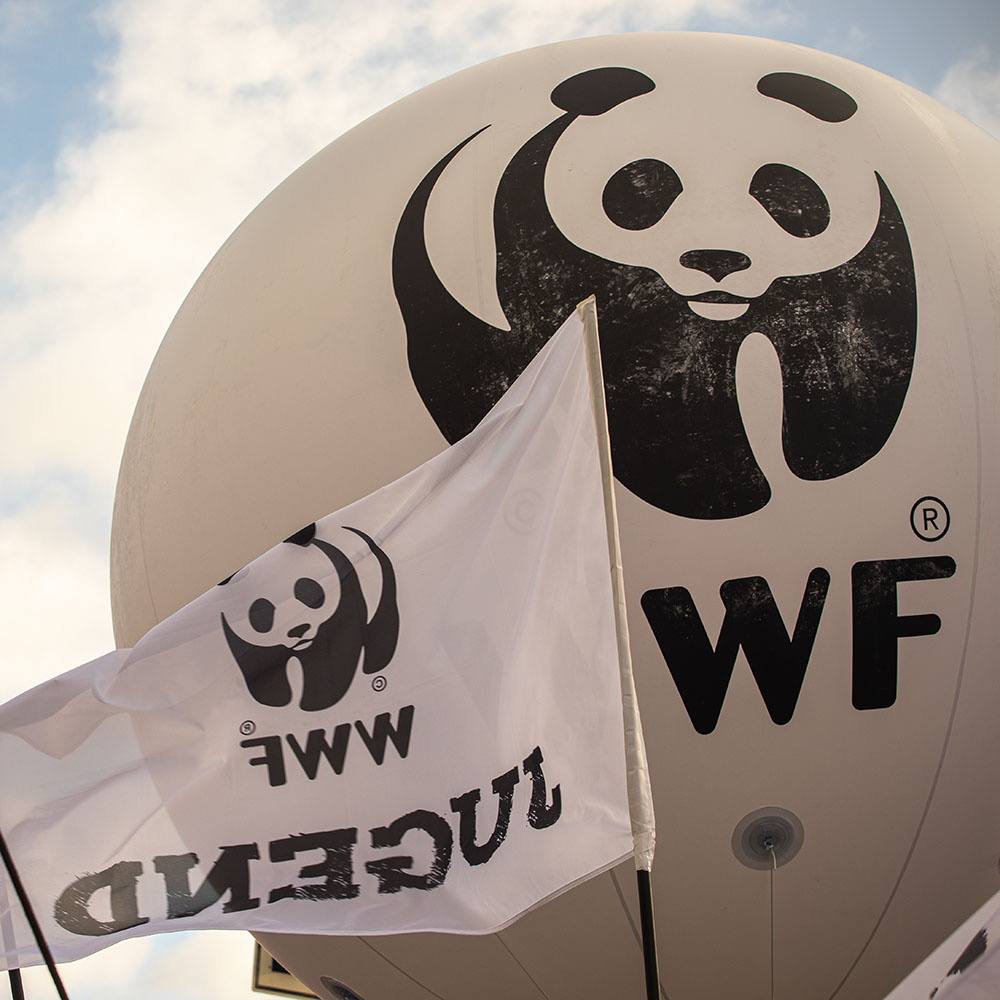 Eine WWF Jugend Flagge und ein WWF Jugend Ballon vor einem bewölktem Himmel