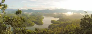 Eine grüne Flusslandschaft