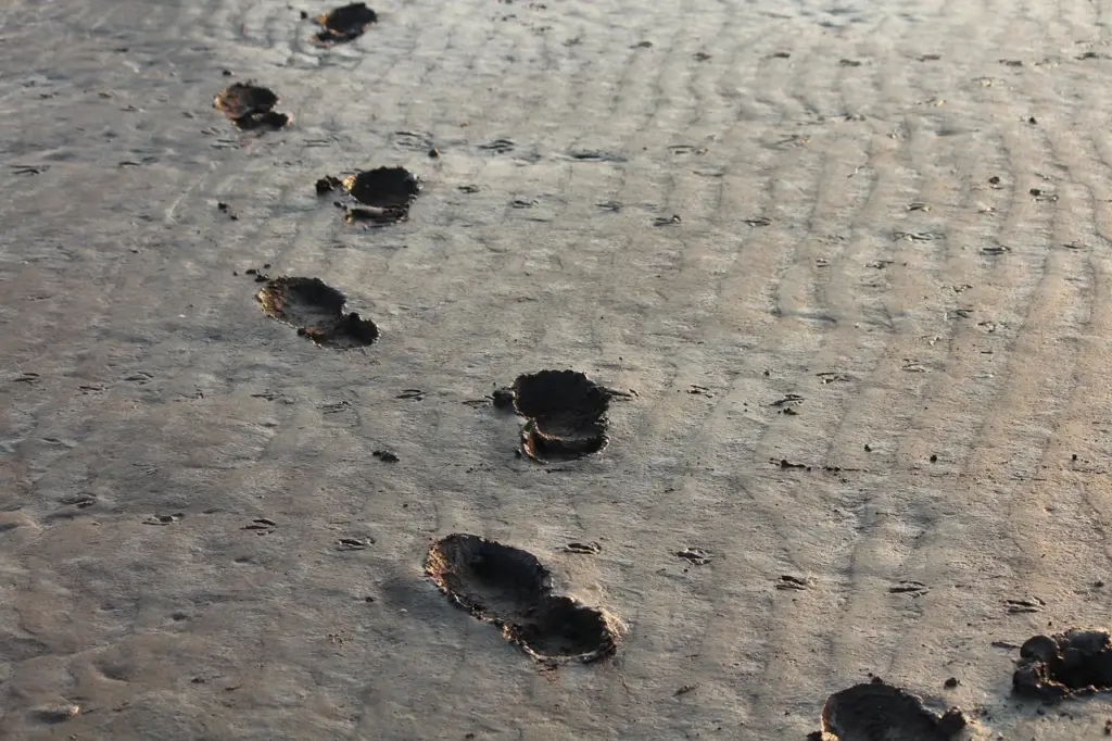 Mehrere Fußabdrücke bilden eine Spur im Sand