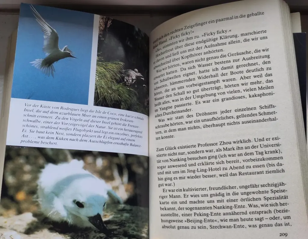 Das Bild zeigt eine Seite des Buchs. Auf der linken Seite sind drei Bilder abgedruckt: eine ausgewachsene Feenseeschwalbe, eines ihrer Eier auf einem Ast sowie ein Küken auf einem Ast. Rechts ist Text abgedruckt. 