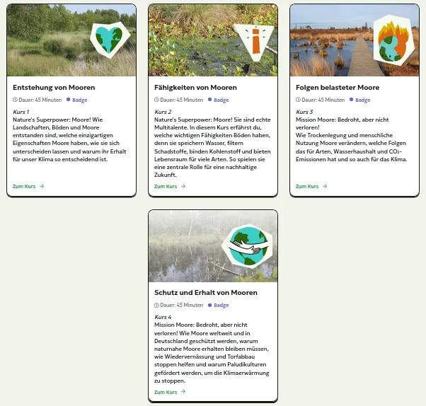 Screenshot mit den 4 Kursen aus dem Deep Dive Moore