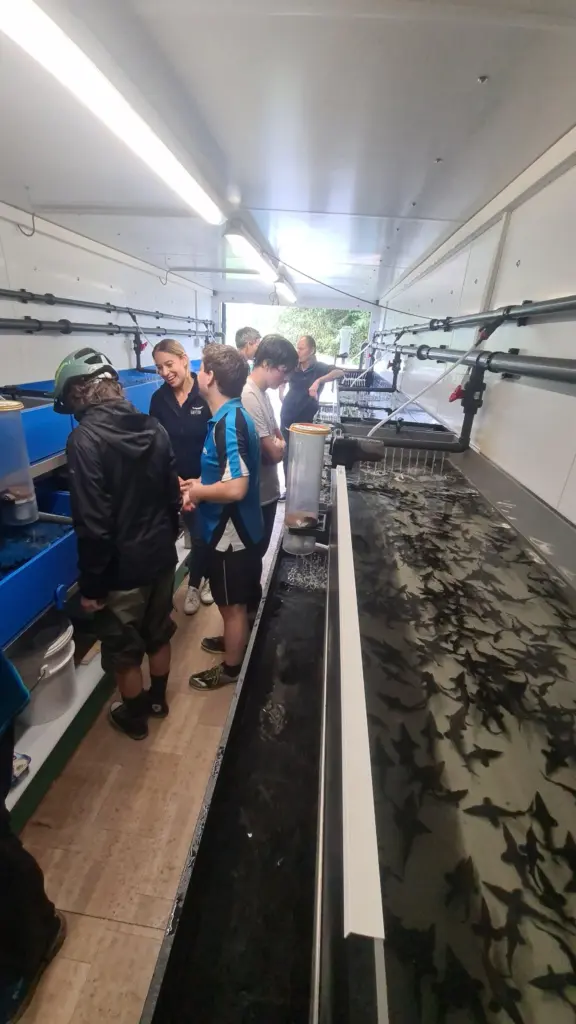 Auf dem Bild ist der WWF Jugend in der Störaufzuchtstation. Im Bild sind Störe in einem Becken zu sehen.