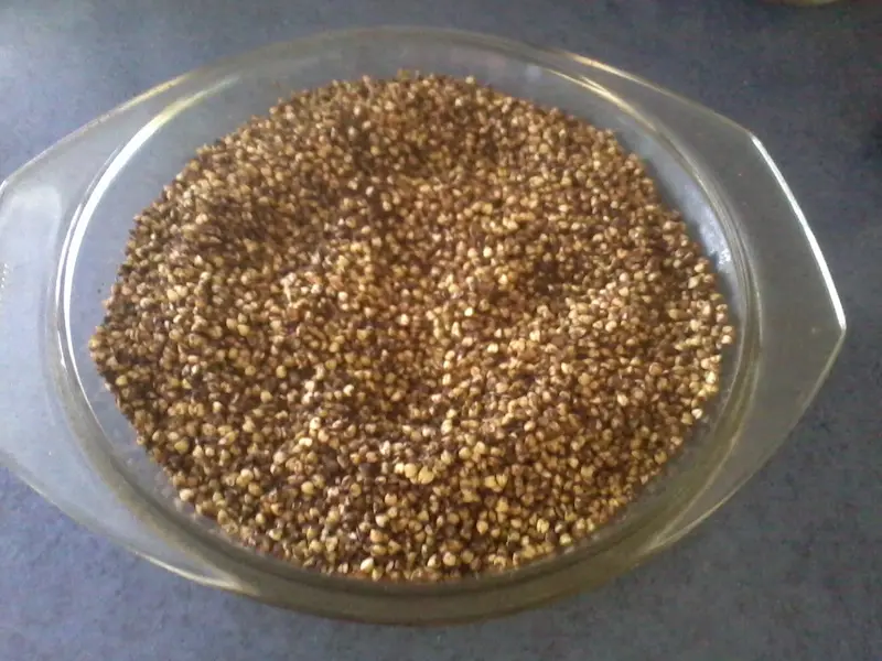 eine Glasschale, gefüllt mit fertigem Buchweizen-Granola auf einer dunkelblauen Arbeitsfläche