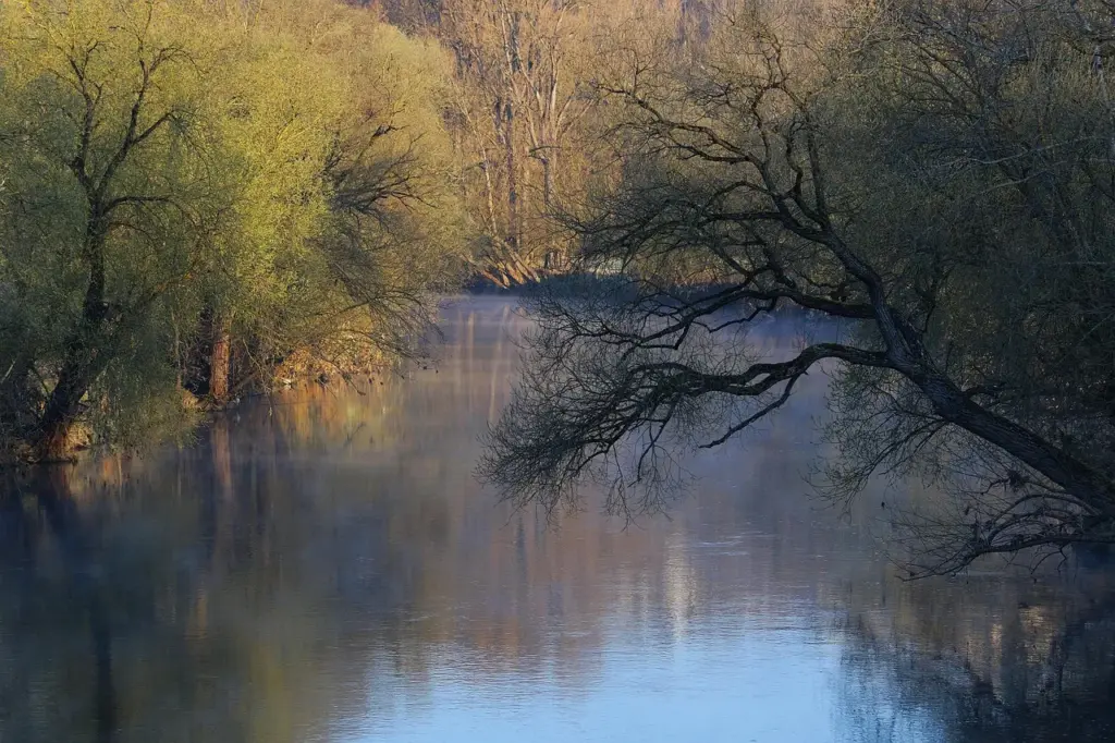 eine Flusslandschaft, von Bäumen gesäumt und an den Ufern überschwemmt