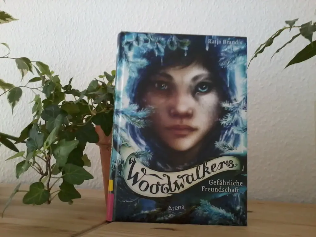 Das Buch "Woodwalkers - Gefährliche Freundschaft" steht auf einem Holzregal. Auf dem Cvoer ein Junge, umrahmt von Tannenzweigen und Eiszapfen.