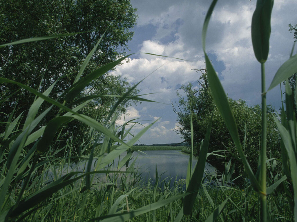 Foto Chris Martin Bahr / WWF