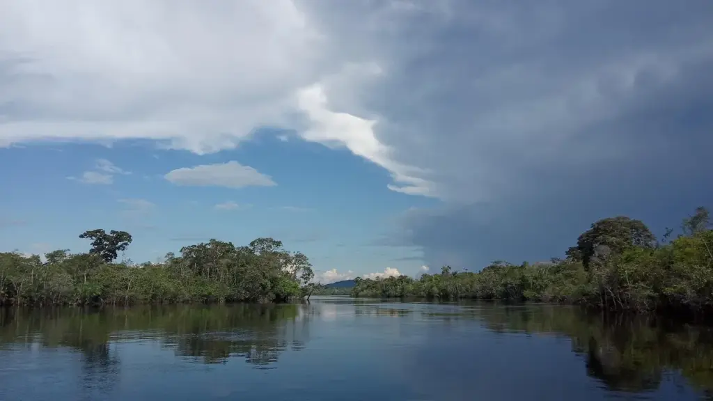 ein breiter Fluss, gesäumt von Wald mit leicht wolkigem Himmel