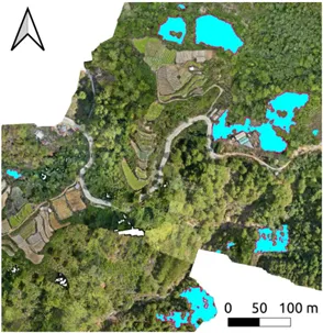 Abbildung 2: Automatische Segmentierung von Chayote Plantagen und Chayote Wildwuchs mittels KI (aus meiner Masterarbeit) Hier ist eine Satellitenaufnahme von einer grünen, philippinischen Landschaft zu sehen. Zwischen den Wäldern, Feldern und Straßen gibt es leuchtend türkise Bereiche.