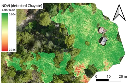 Abb. 4: Eine Chayoteplantage nahe Sto. Niño, welche durch ein KI-Modell identifiziert wurde. Der NDVI zeigt, wie gesund die Pflanzen sind. Gelbe und rote Flächen deuten darauf hin, dass die Pflanzen hier nicht gut wachsen können, beispielsweise aufgrund von verschmutztem Grundwasser. (Abbildung aus der Masterarbeit) Auf diesem Bild ist eine grüne Landschaft aus der Luftperspektive zu sehen. Teilweise überlagern Flächen das Bild, die hellgrüne bis rote Bereiche aufweisen.