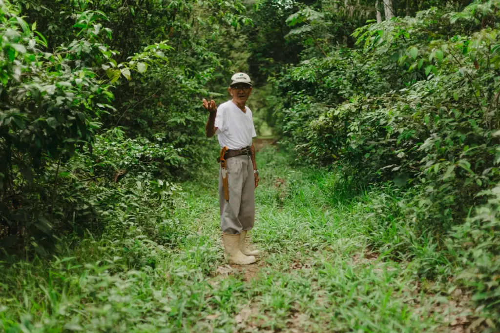 Ein Mann steht in einem Wald.