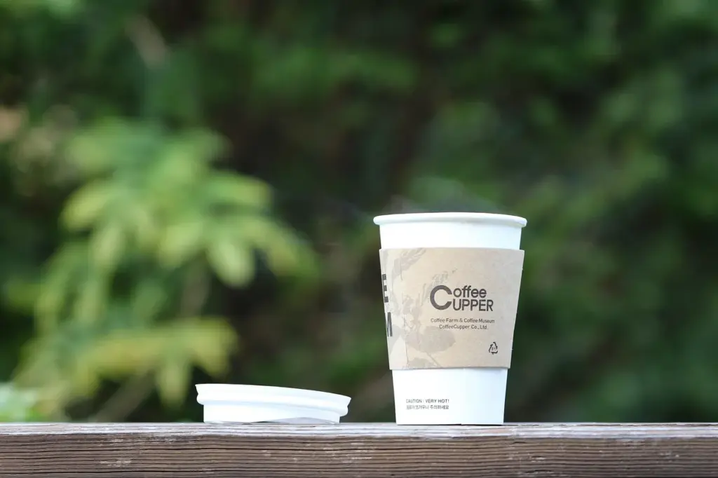 Ein Einweg-Kaffeebecher steht auf einem Holztisch, im Hintergrund Büsche