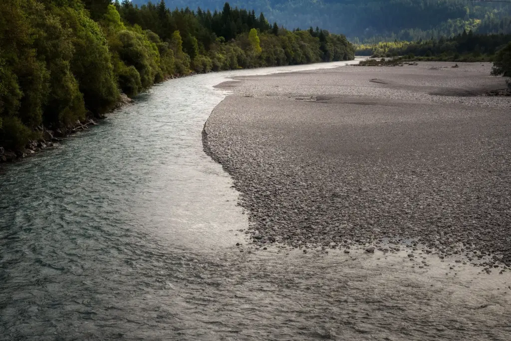 Das Bild zeigt einen Fluss, am linken Ufer sind Bäume, am rechten Ufer Kiesbänke zu sehen.