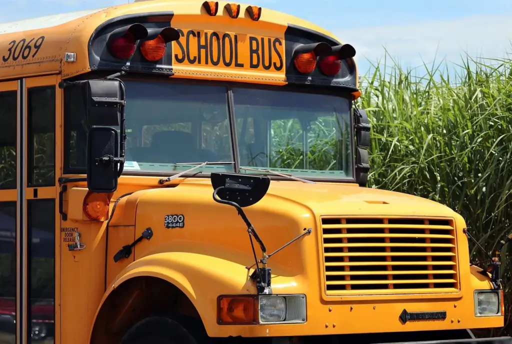 ein gelber Bus mit der Aufschrift "School Bus" steht an einem Feld