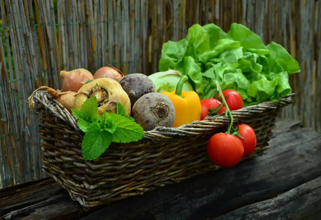 ein gelochtener Korb, gefüllt mit Rote Bete, Paprika, Salat, Kräutern, Zwiebeln, Tomaten und Rüben, steht auf einer Holzbank