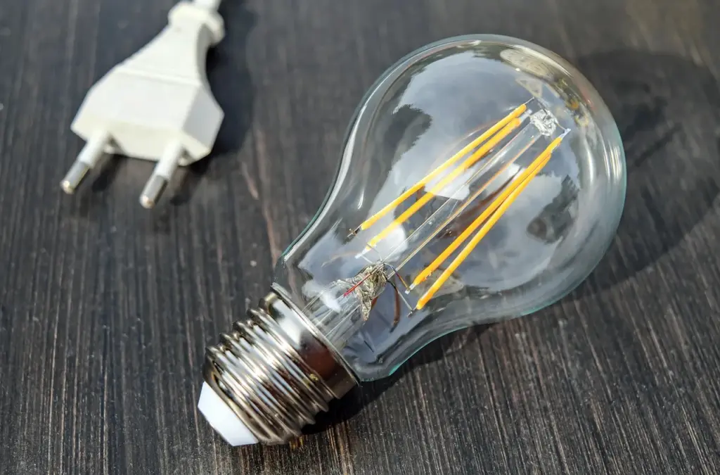 eine Energiesparlame und ein weißer Flachstecker liegen auf einem Holztisch