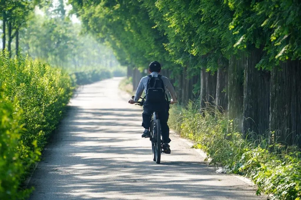 eine Person mit schwarzem Rucksack und schwarzem Helm fährt auf einem Fahrrad durch eine von Bäumen und Sträuchern gesäumte Straße.